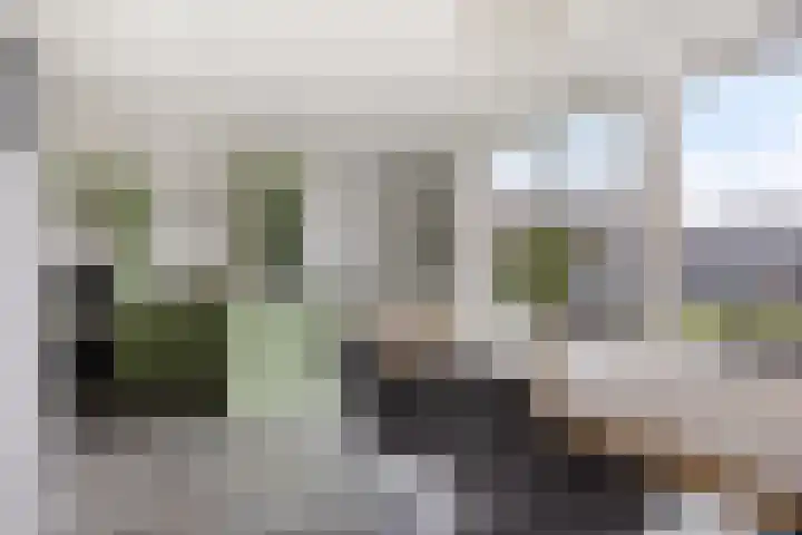 Boerenkamplaan 19 Someren thumbnail 20