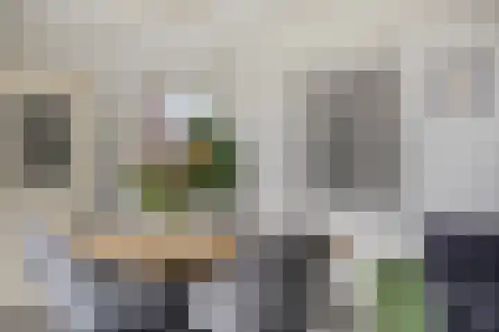 Boerenkamplaan 19 Someren thumbnail 21