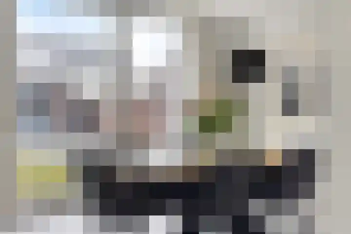 Boerenkamplaan 19 Someren thumbnail 22