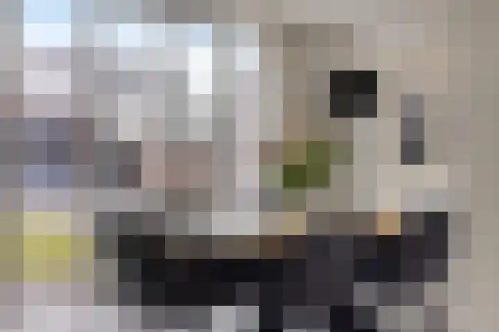 Boerenkamplaan 19 Someren thumbnail 23