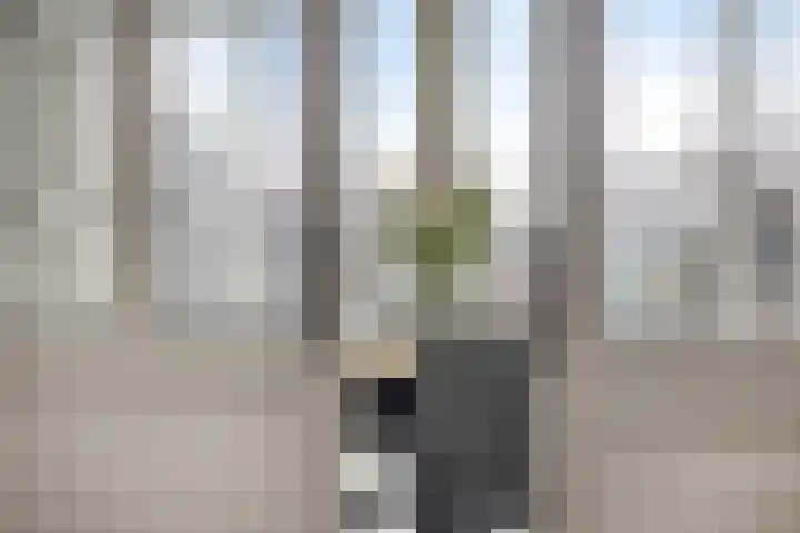 Boerenkamplaan 19 Someren thumbnail 30