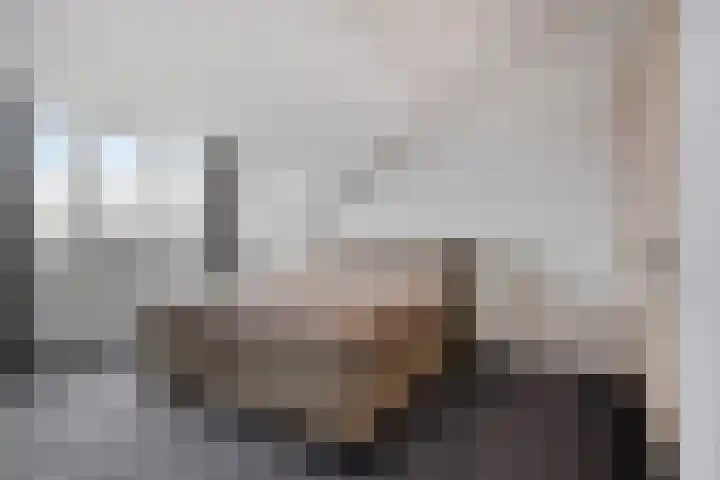 Boerenkamplaan 19 Someren thumbnail 4
