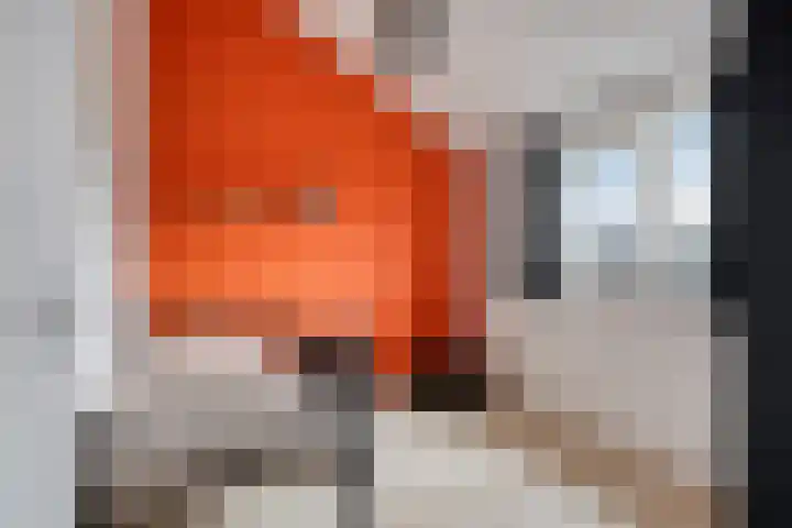 Boerenkamplaan 19 Someren thumbnail 48
