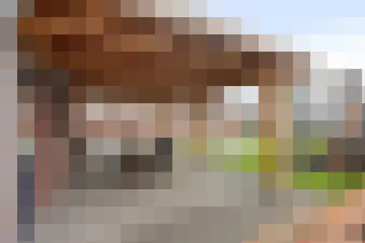 Boerenkamplaan 19 Someren thumbnail 56