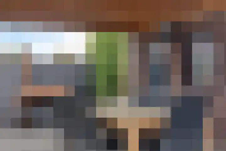Boerenkamplaan 19 Someren thumbnail 57