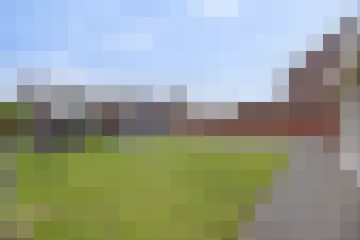 Boerenkamplaan 19 Someren thumbnail 6