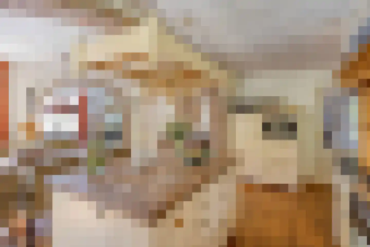 Boerenkamplaan 75 Someren thumbnail 17