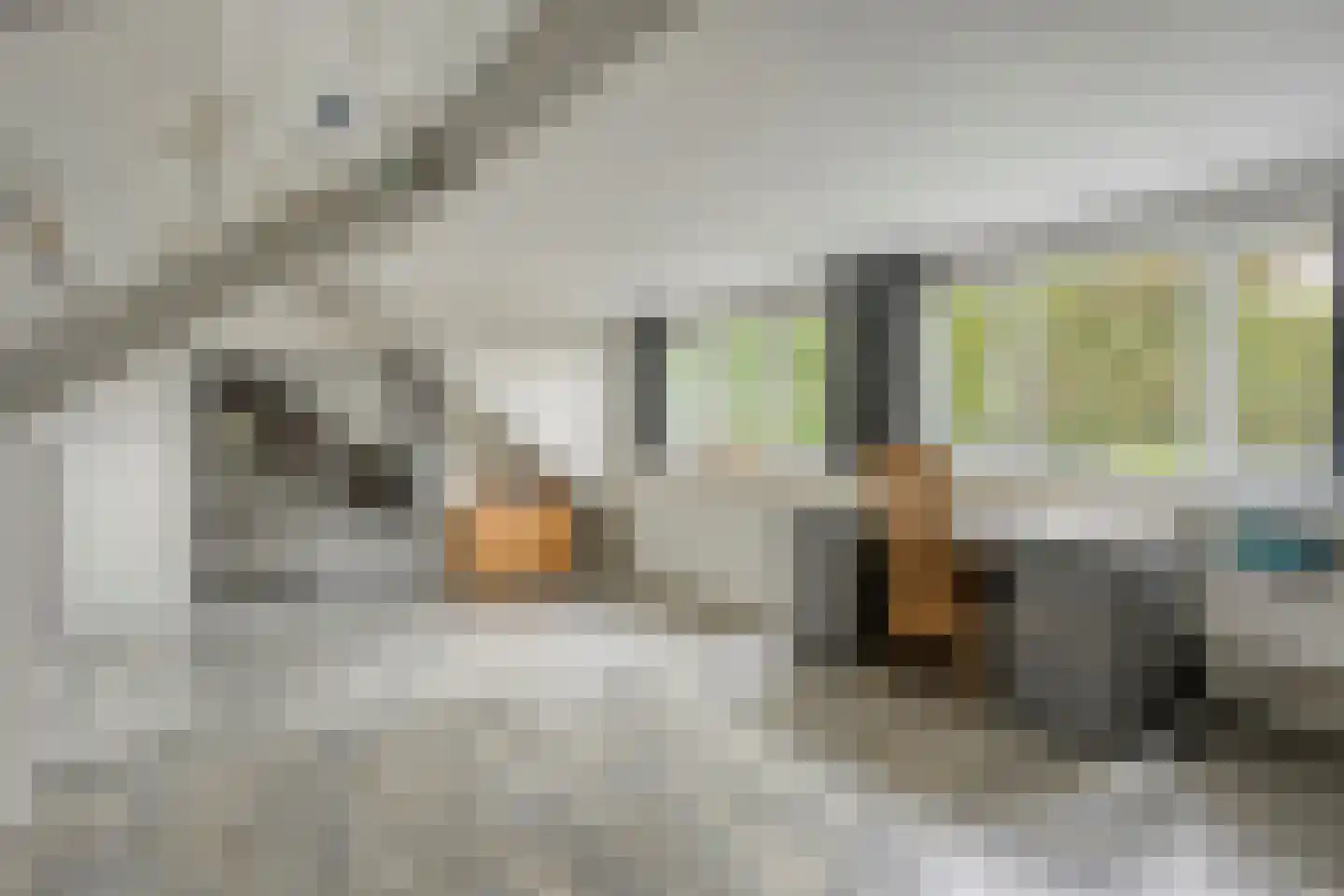 Boerenkamplaan 75 Someren thumbnail 26