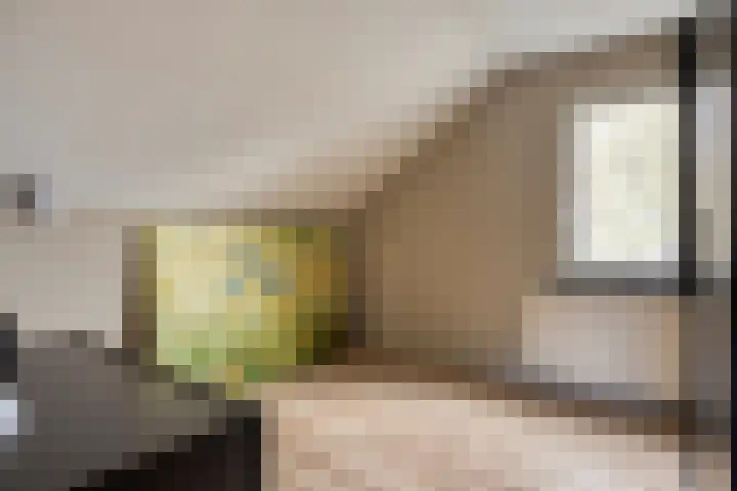 Boerenkamplaan 75 Someren thumbnail 31