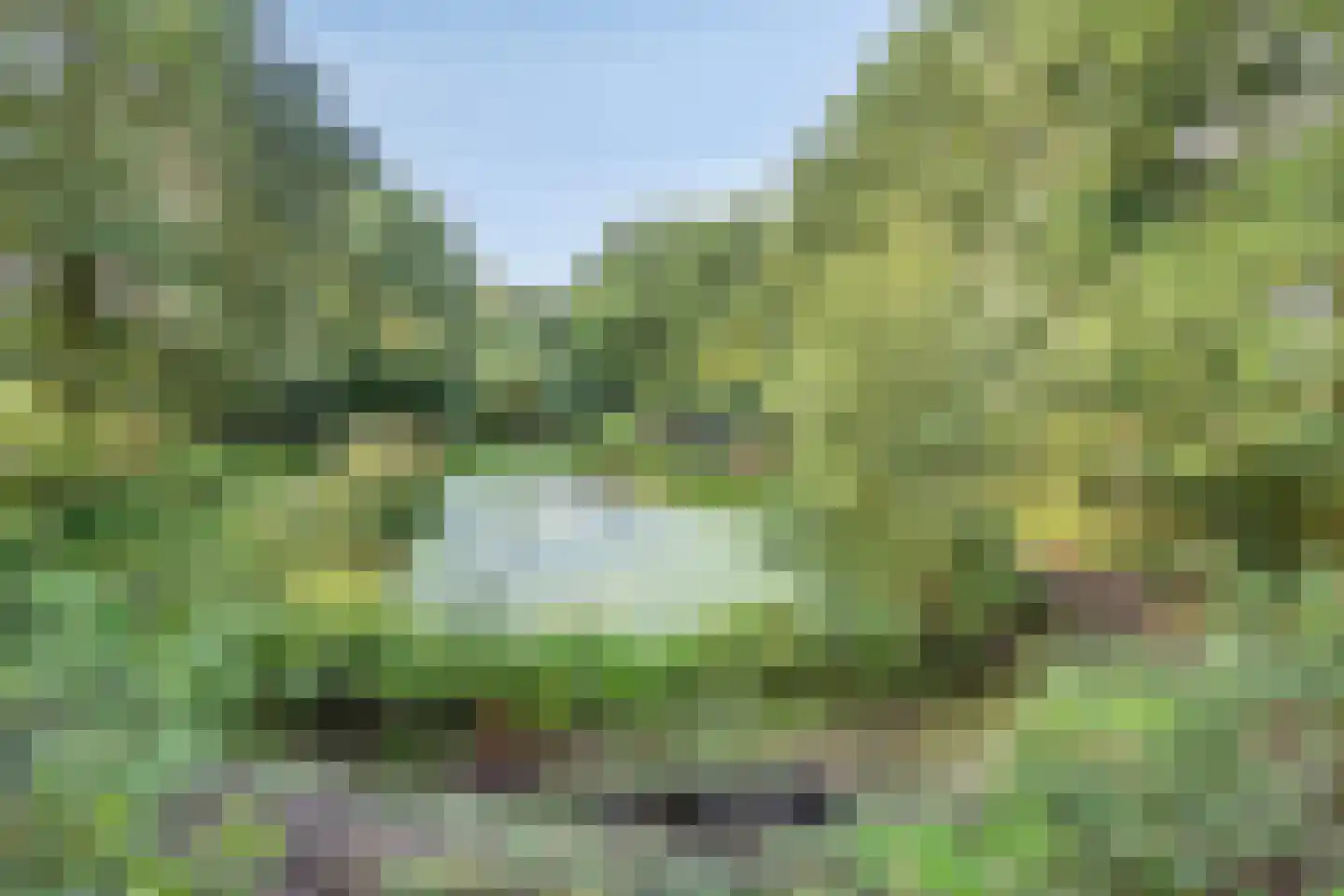 Boerenkamplaan 75 Someren thumbnail 4