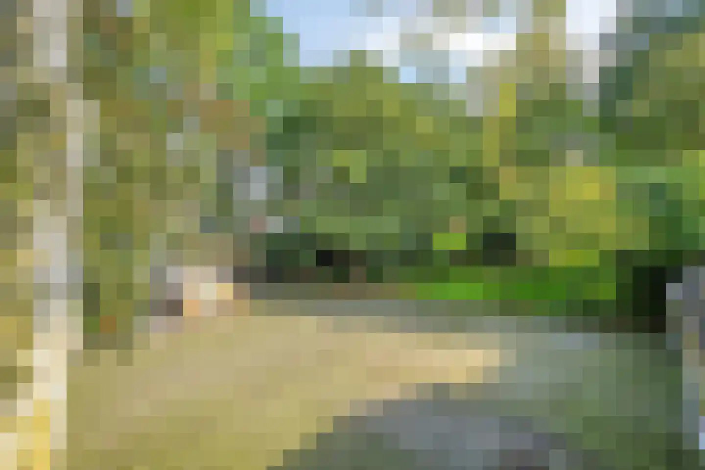 Boerenkamplaan 75 Someren thumbnail 48