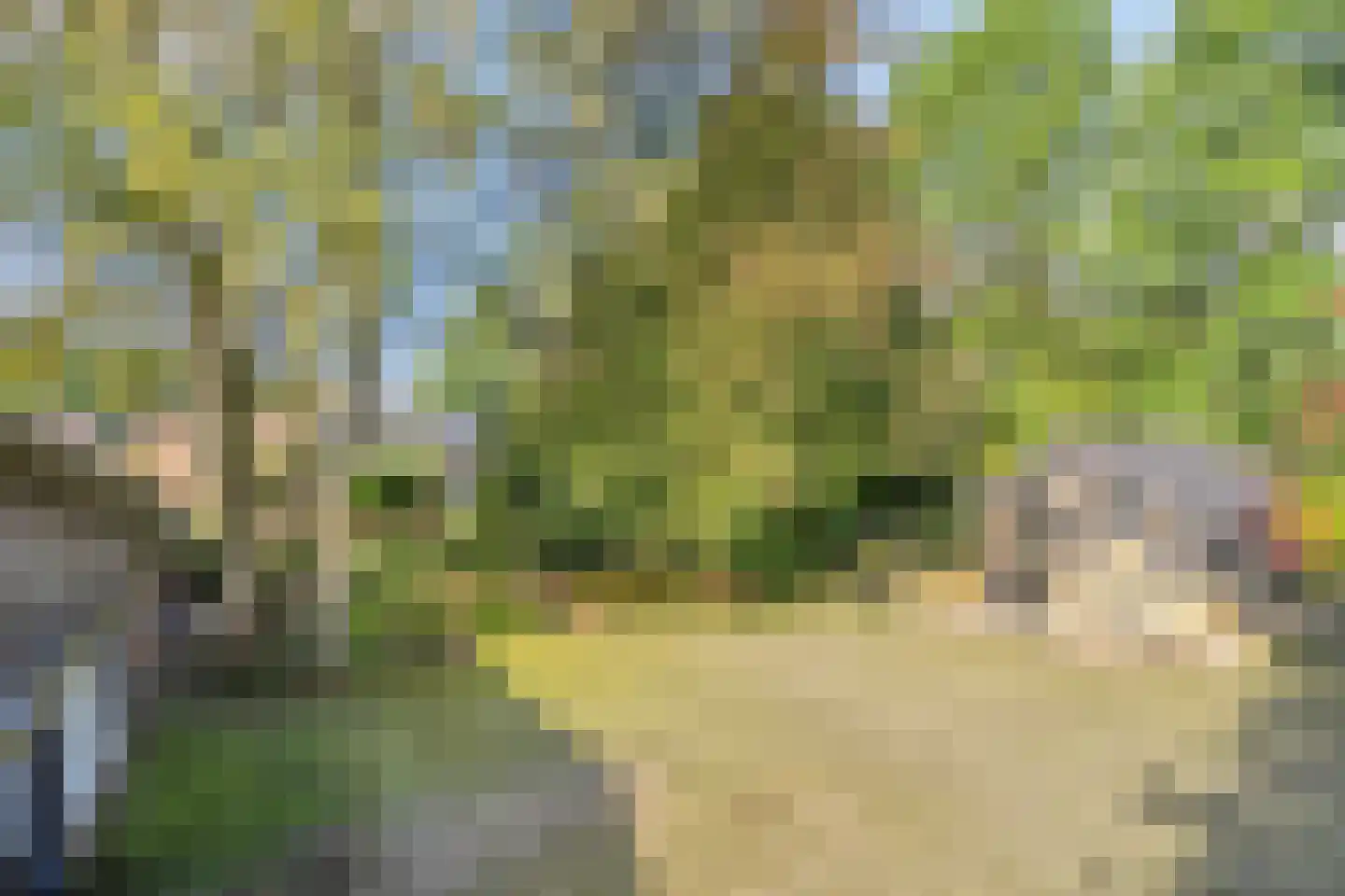 Boerenkamplaan 75 Someren thumbnail 49