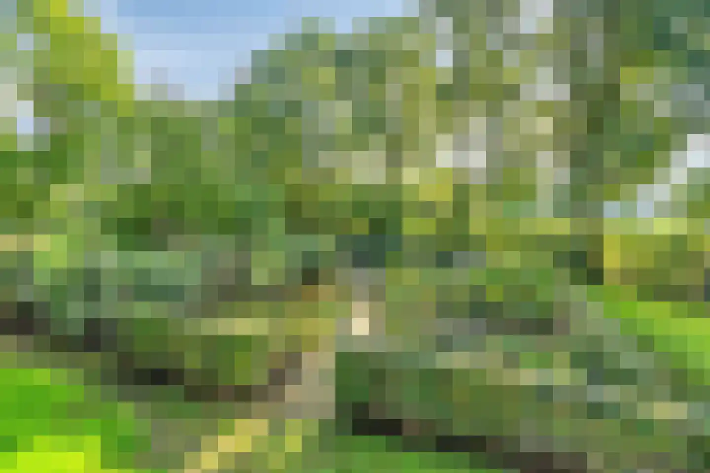 Boerenkamplaan 75 Someren thumbnail 50