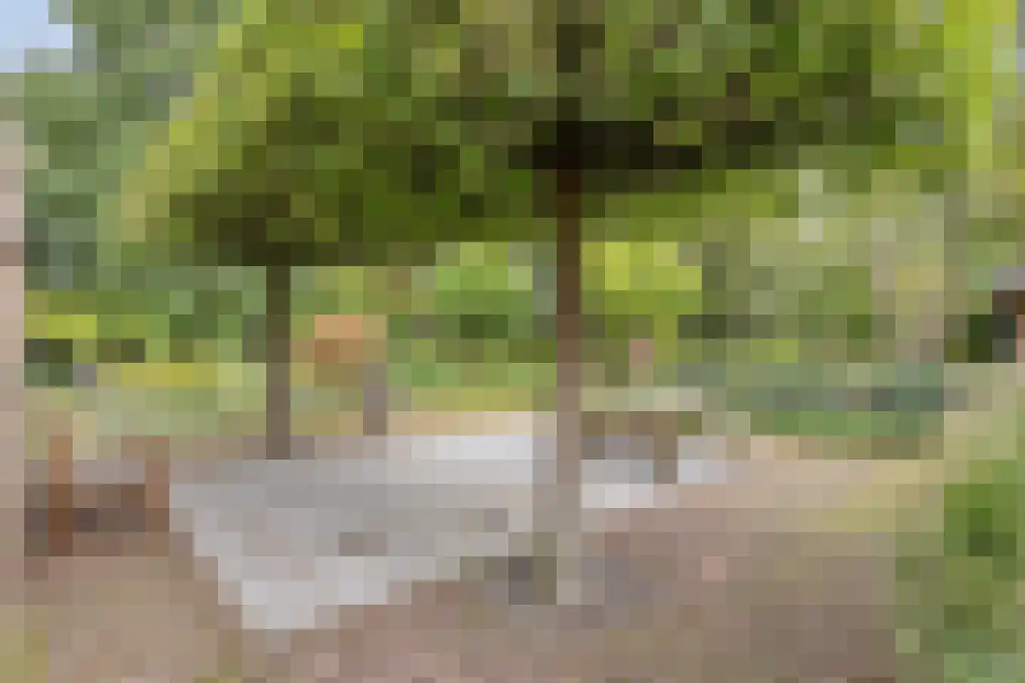 Boerenkamplaan 75 Someren thumbnail 51