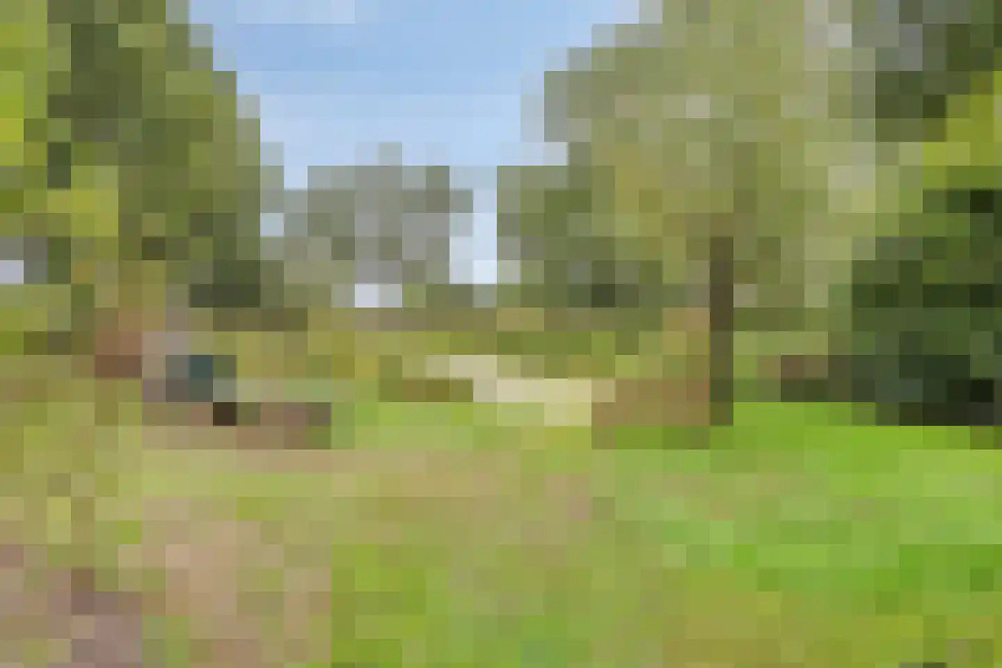 Boerenkamplaan 75 Someren thumbnail 52