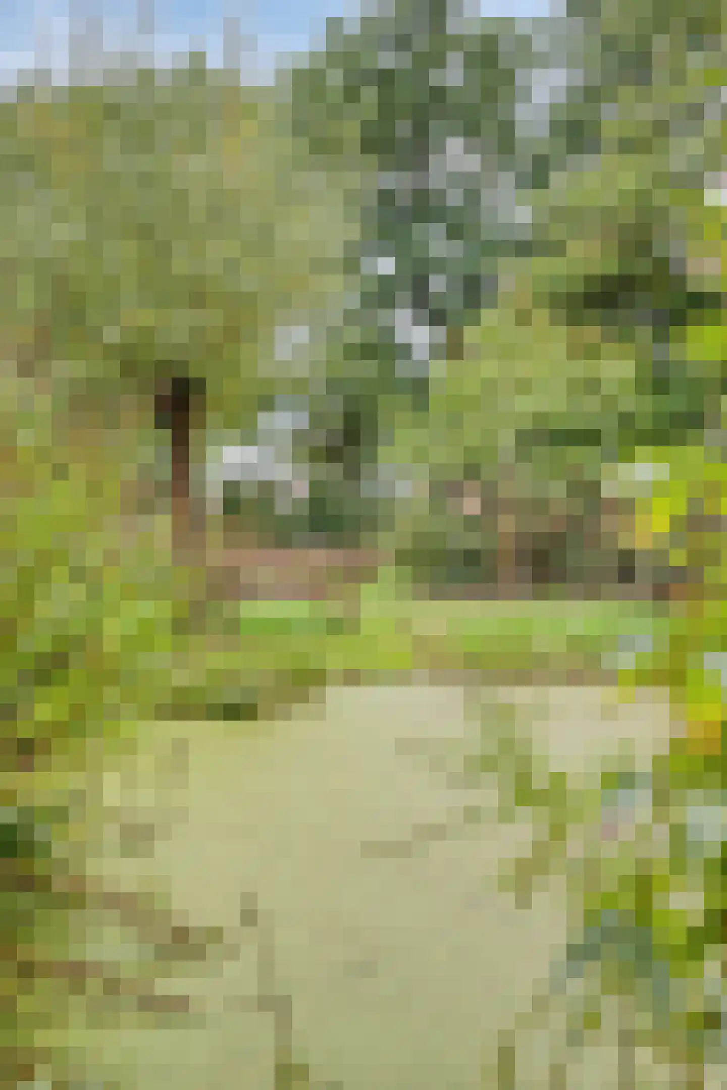 Boerenkamplaan 75 Someren thumbnail 53