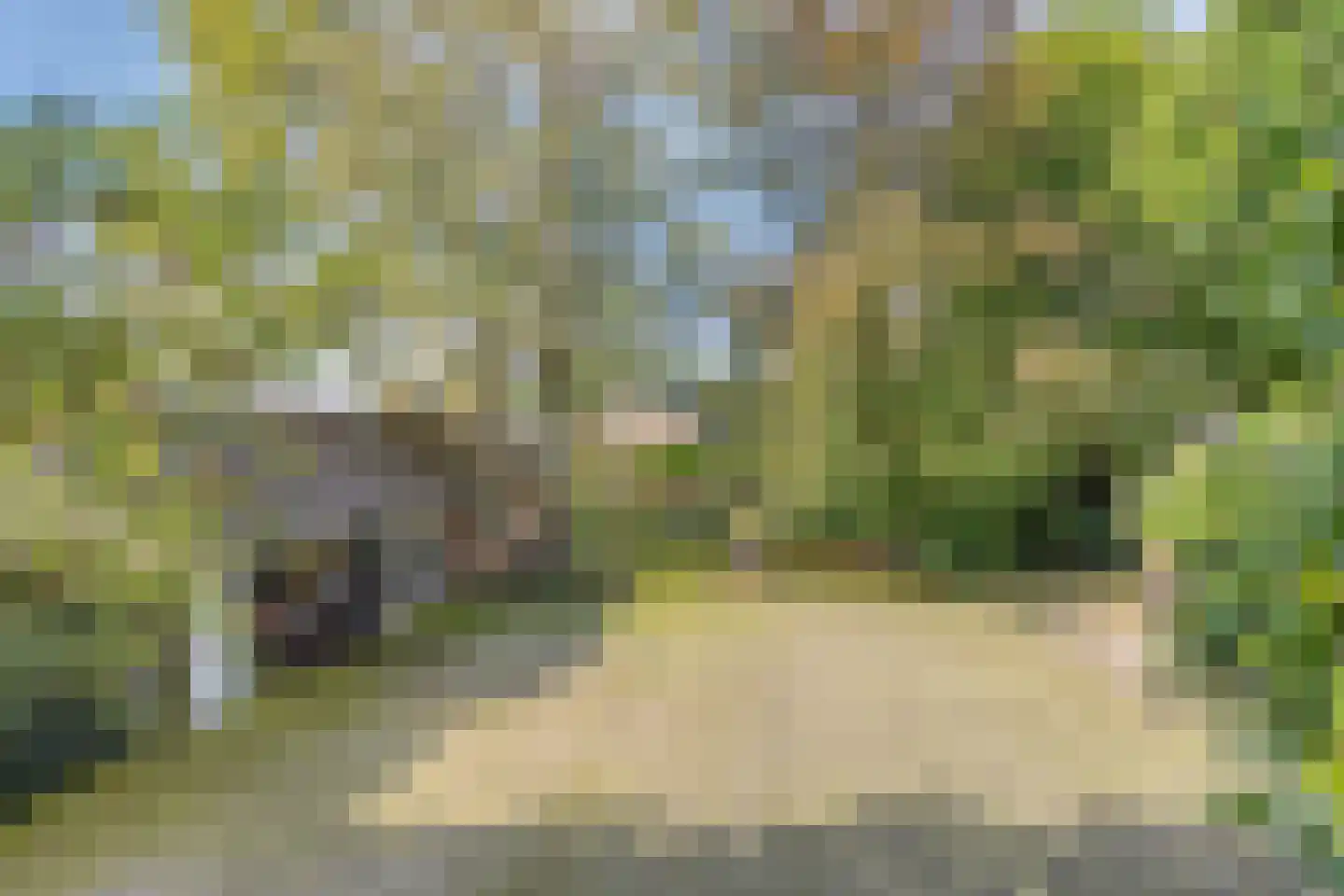Boerenkamplaan 75 Someren thumbnail 6