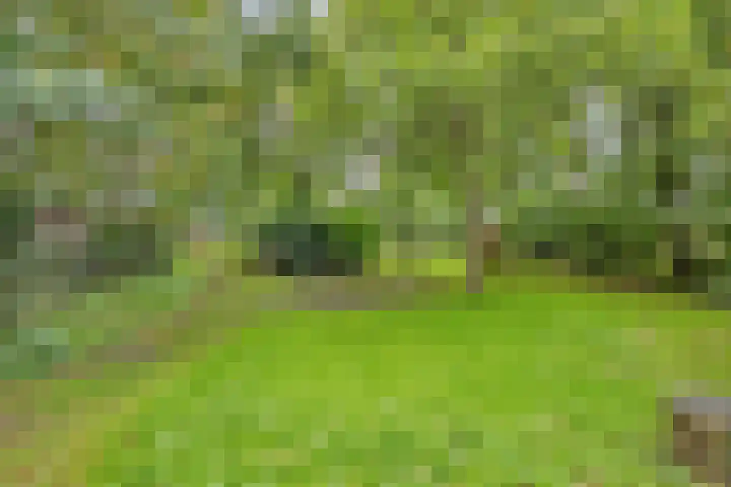Boerenkamplaan 75 Someren thumbnail 8