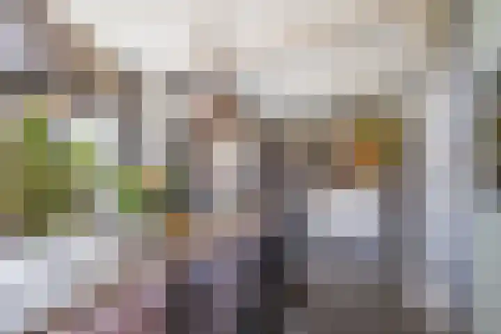 Boerenlaan 9 K 's-Gravenzande thumbnail 13