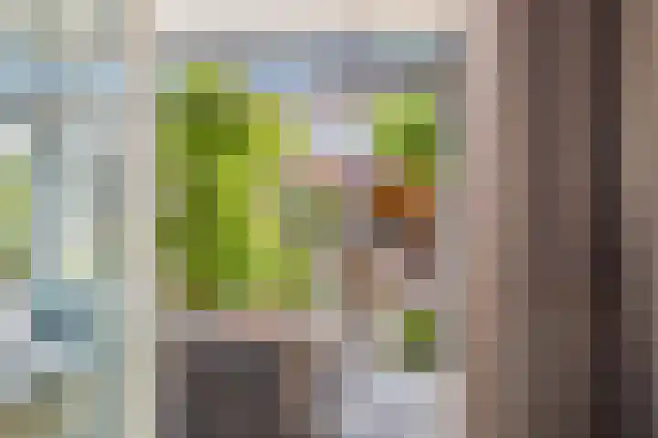 Boerenlaan 9 K 's-Gravenzande thumbnail 18