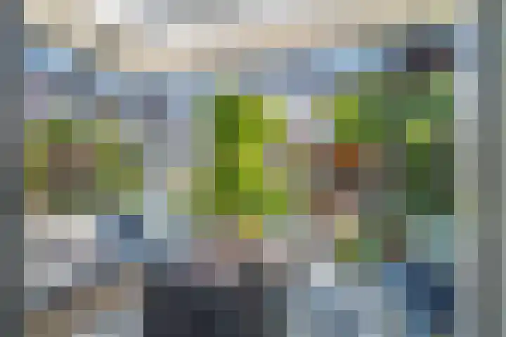 Boerenlaan 9 K 's-Gravenzande thumbnail 19