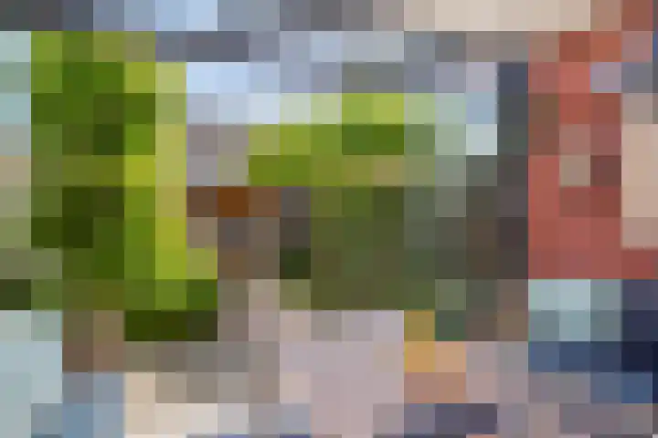 Boerenlaan 9 K 's-Gravenzande thumbnail 20