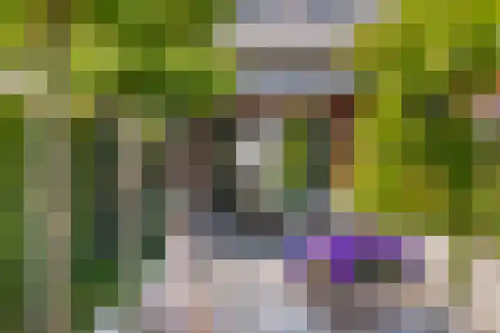 Boerenlaan 9 K 's-Gravenzande thumbnail 23