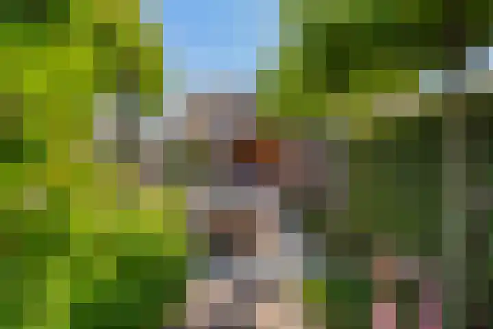 Boerenlaan 9 K 's-Gravenzande thumbnail 24