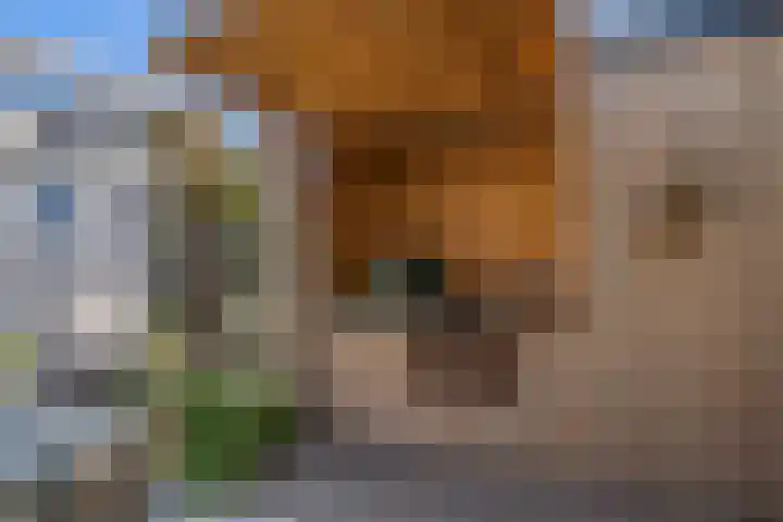 Boerenlaan 9 K 's-Gravenzande thumbnail 25