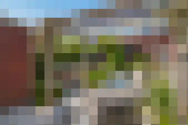 Boerenlaan 9 K 's-Gravenzande thumbnail 26