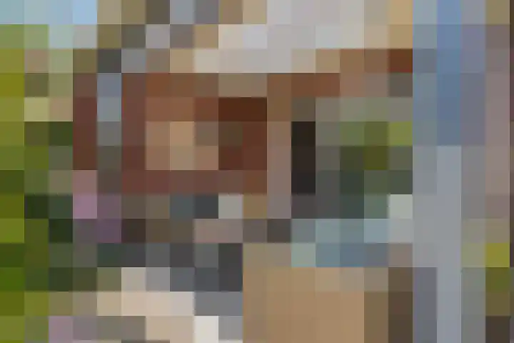 Boerenlaan 9 K 's-Gravenzande thumbnail 29