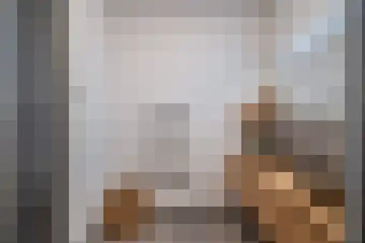 Boerenlaan 9 K 's-Gravenzande thumbnail 35