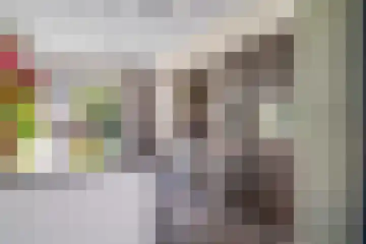 Boerenlaan 9 K 's-Gravenzande thumbnail 4