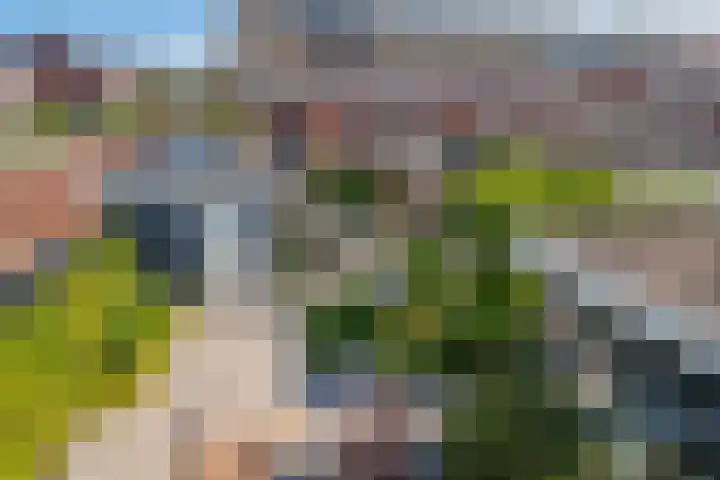 Boerenlaan 9 K 's-Gravenzande thumbnail 46
