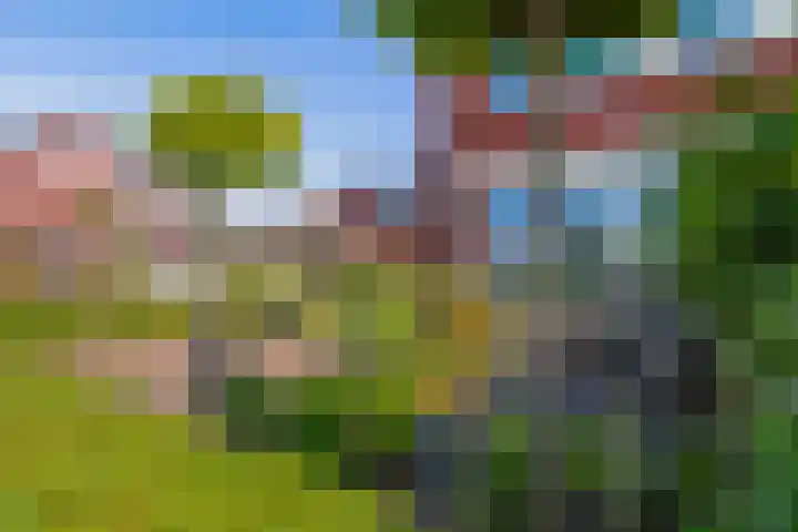 Boerenlaan 9 K 's-Gravenzande thumbnail 48