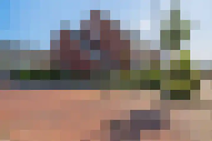 Boerenlaan 9 K 's-Gravenzande thumbnail 53