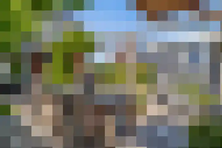 Boerenlaan 9 K 's-Gravenzande thumbnail 6