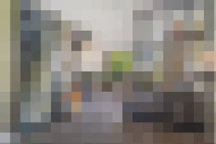 Boerenlaan 9 K 's-Gravenzande thumbnail 8