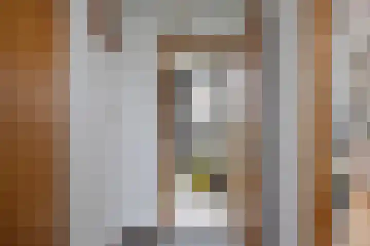 Boerenpad 3 Zaandam thumbnail 16