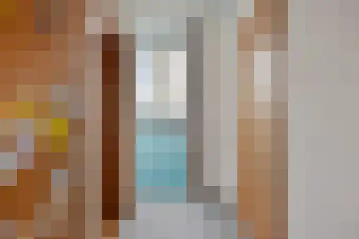 Boerenpad 3 Zaandam thumbnail 17