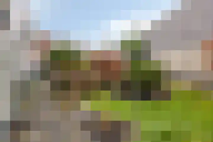 Boerenpad 3 Zaandam thumbnail 23