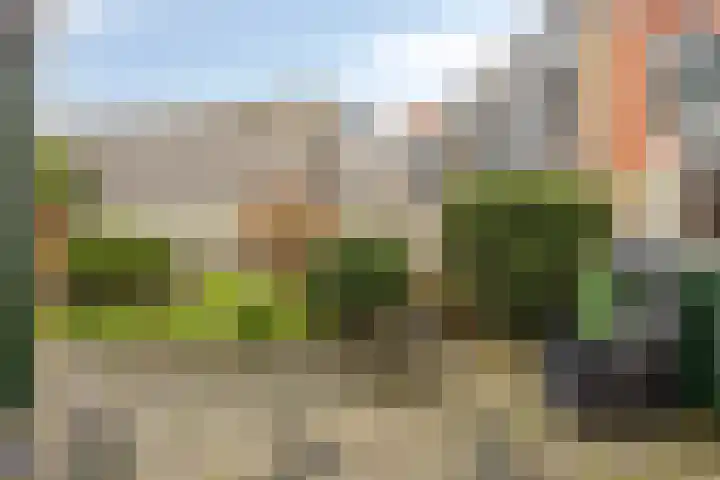 Boerenpad 3 Zaandam thumbnail 25
