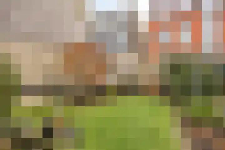Boerenpad 3 Zaandam thumbnail 26