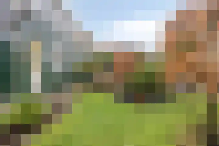 Boerenpad 3 Zaandam thumbnail 27