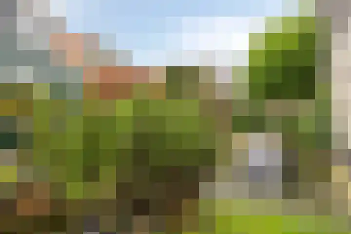 Boerenpad 3 Zaandam thumbnail 28