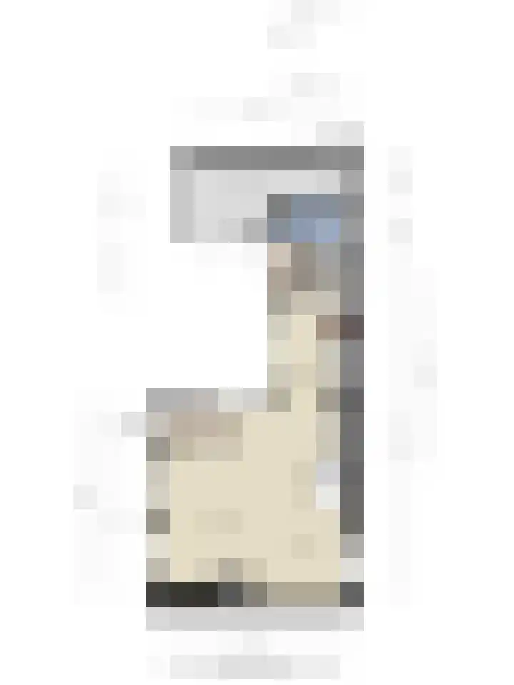 Boerenpad 3 Zaandam thumbnail 30