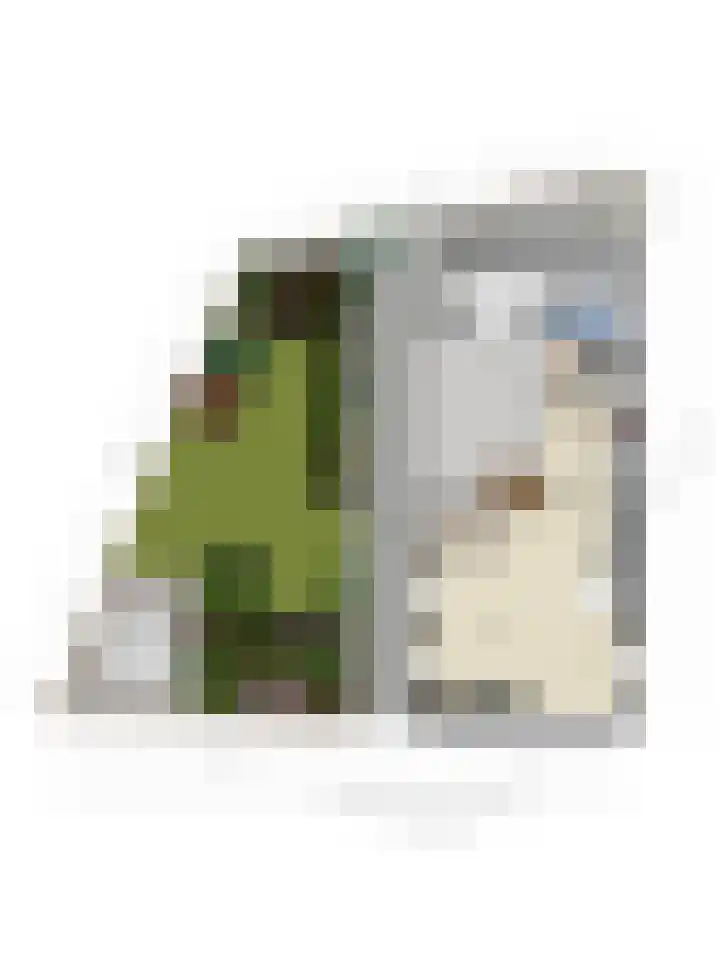 Boerenpad 3 Zaandam thumbnail 31