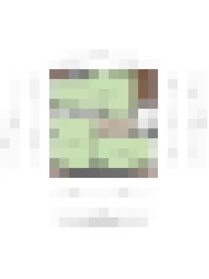 Boerenpad 3 Zaandam thumbnail 32