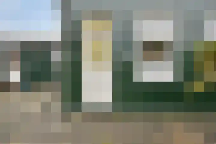 Boerenpad 3 Zaandam thumbnail 4