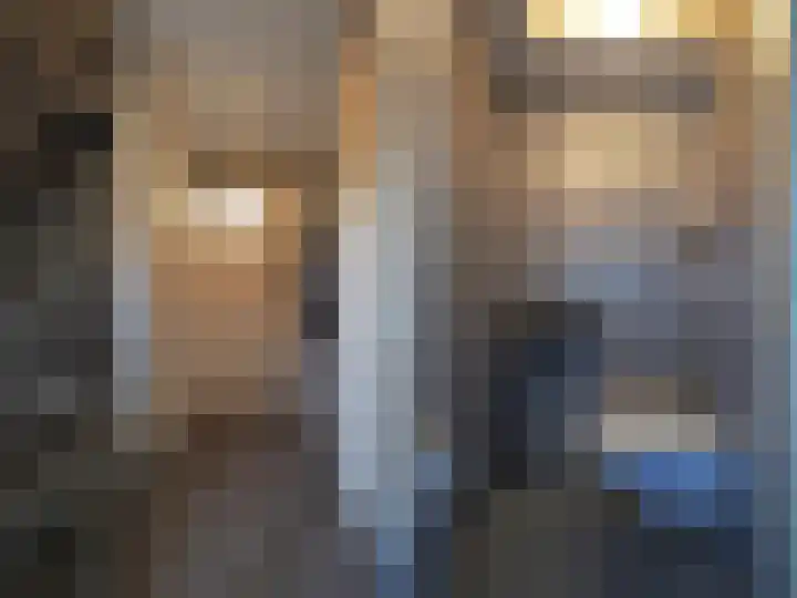 Boerenschouw 4 Papendrecht thumbnail 12